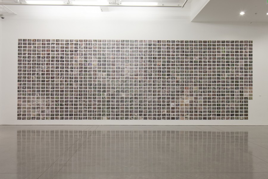 Thumbnail for Corrections